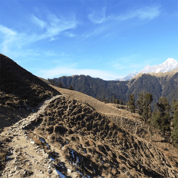Nature Trek in Himalayas